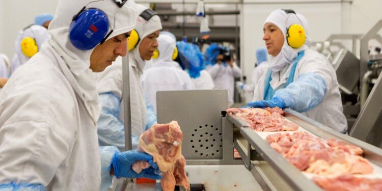 El gobierno argentino incorporó a la carne aviar en el régimen de  “Licencias No Automáticas de Importación”