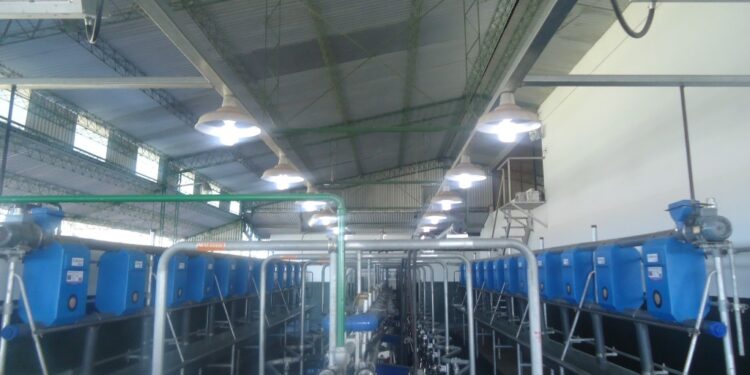 Diagnóstico lechero: Cuando estar mejor no necesariamente significa estar bien