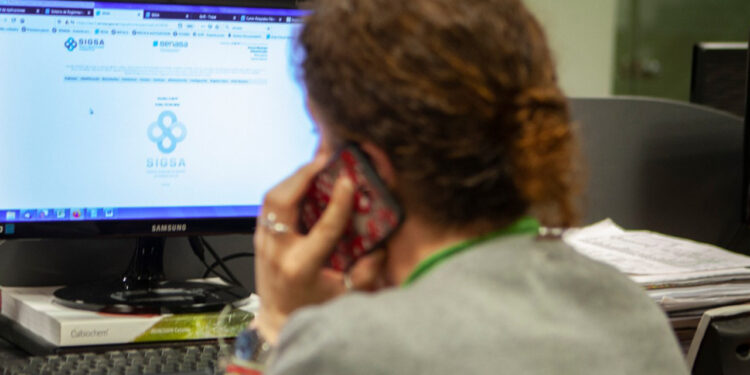 Desidia: Ocho provincias de base ganadera aún no adhirieron al Documento Único de Tránsito que permite facilitarle la vida a los productores