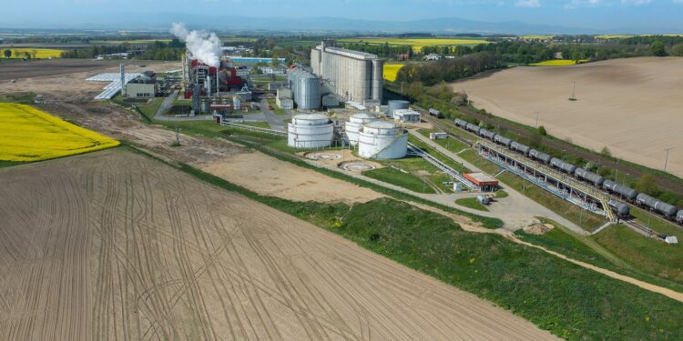 Peligro bajista en ciernes: Crecen las presiones en EE.UU. para terminar con el uso de maíz en la elaboración de bioetanol