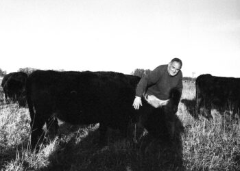 Camporita: la historia de una vaca sin dientes que inspiró una payada hilarante sobre el cepo cárnico