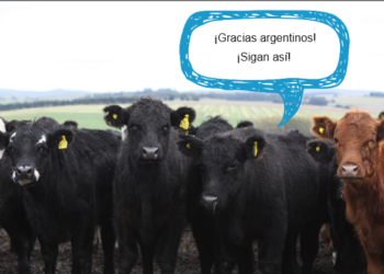 Buenos Vecinos: Uruguay agradece el aporte argentino para lograr precios históricos del novillo con faena récord