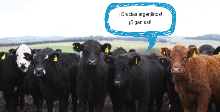 Buenos Vecinos: Uruguay agradece el aporte argentino para lograr precios históricos del novillo con faena récord