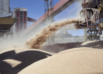 La capacidad de pago de la soja de los exportadores sigue superando a la de la industria a pesar del diferencial de retenciones