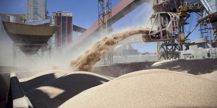 La capacidad de pago de la soja de los exportadores sigue superando a la de la industria a pesar del diferencial de retenciones