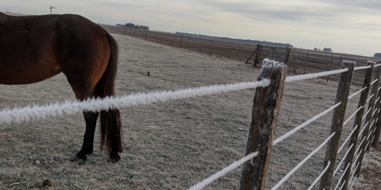 Luego de un viernes más agradable, el fin de semana se prevé el ingreso de una nueva ola polar