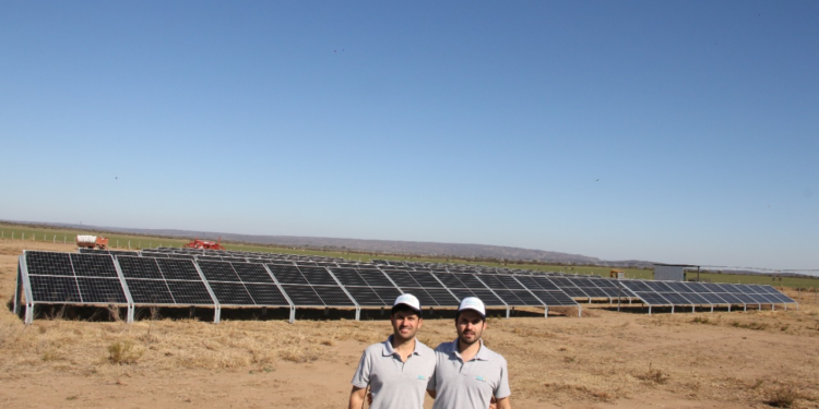 Dos hermanos montaron en plena pandemia una empresa de energías limpias y ya están instalando un parque solar para regar 30 hectáreas en Villa Dolores