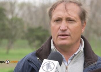 Crítico del plan nacional de manejo del fuego, el experto forestal Juan Manuel García Conde aclara que no todos los incendios en el Delta son provocados por el hombre