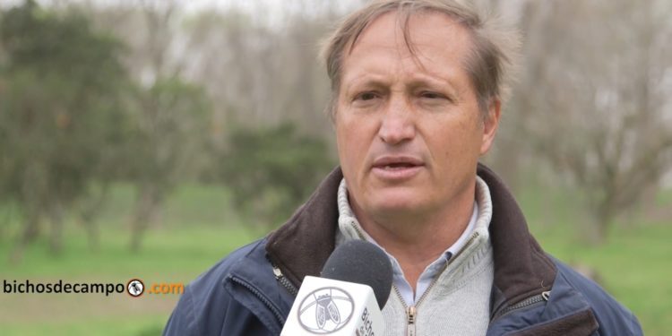 Crítico del plan nacional de manejo del fuego, el experto forestal Juan Manuel García Conde aclara que no todos los incendios en el Delta son provocados por el hombre