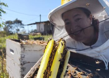La Carola produce miel de azahares o miel de monte en el norte: Aprendió el oficio de otros apicultores y ahora se desvive por enseñar