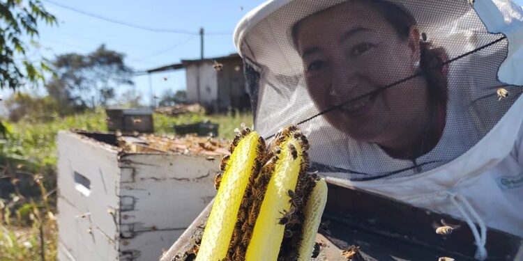 La Carola produce miel de azahares o miel de monte en el norte: Aprendió el oficio de otros apicultores y ahora se desvive por enseñar