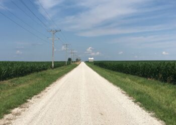 El maíz es el que más tiene para perder en el nuevo escenario de reconfiguración de precios internacionales