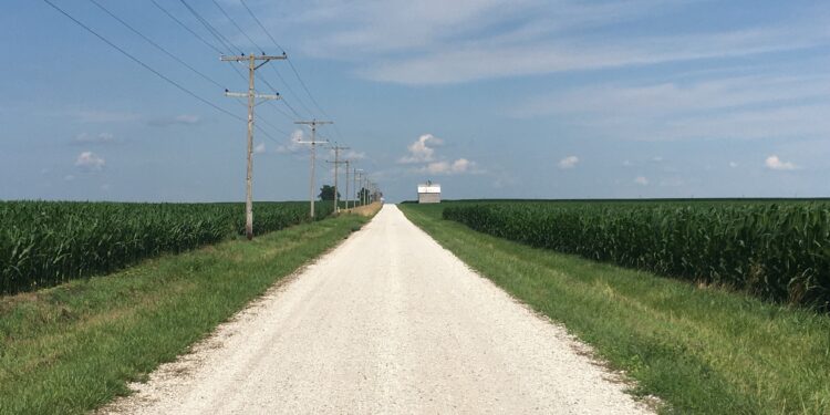 El maíz es el que más tiene para perder en el nuevo escenario de reconfiguración de precios internacionales