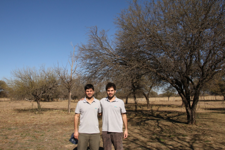 Dos hermanos montaron en plena pandemia una empresa de energías limpias y ya están instalando un parque solar para regar 30 hectáreas en Villa Dolores
