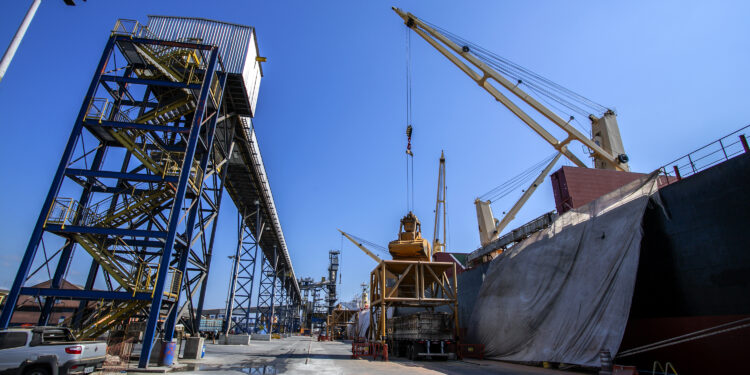 Llega el cuarto buque con maíz argentino al Puerto de Paranaguá para abastecer a la necesitada agroindustria brasileña