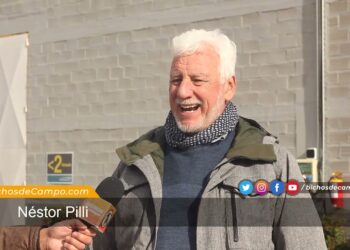 A Néstor Pilli le cambió la vida saber qué precio va a recibir: por eso hace 26 años que trabaja con la industria procesadora de papas