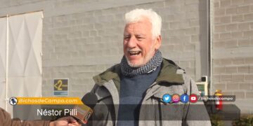 A Néstor Pilli le cambió la vida saber qué precio va a recibir: por eso hace 26 años que trabaja con la industria procesadora de papas