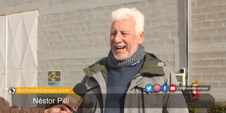 A Néstor Pilli le cambió la vida saber qué precio va a recibir: por eso hace 26 años que trabaja con la industria procesadora de papas