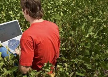 Récord histórico de operaciones de futuros agrícolas en el Matba Rofex gracias a las oportunidades presentes en el primer tramo del año