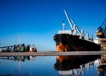 Fiesta loca en el sur: Para originar maíz en los puertos bonaerenses se pagan “premios” de hasta 2800 $/tonelada