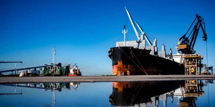 Fiesta loca en el sur: Para originar maíz en los puertos bonaerenses se pagan “premios” de hasta 2800 $/tonelada