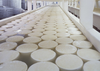 Luego de diez meses complicados, la industria láctea argentina volvió a ganar dinero