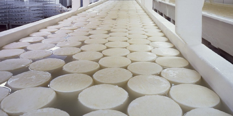 Luego de diez meses complicados, la industria láctea argentina volvió a ganar dinero