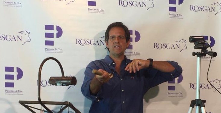 Las categorías con destino a invernada lograron ganarle a la inflación, pero los precios de los vientres bovinos quedaron muy golpeados por la intervención kirchnerista