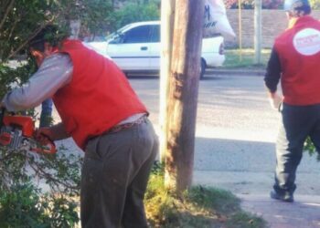 El Senasa reduce las áreas bajo cuarentena por el HLB, al excluir a La Banda, en Santiago del Estero