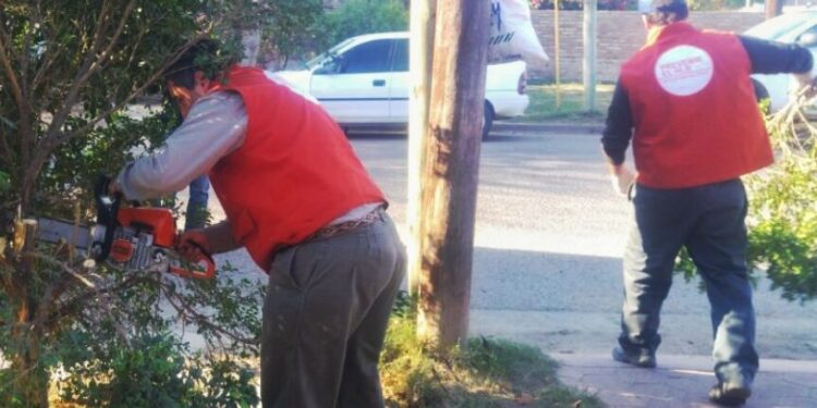 El Senasa reduce las áreas bajo cuarentena por el HLB, al excluir a La Banda, en Santiago del Estero