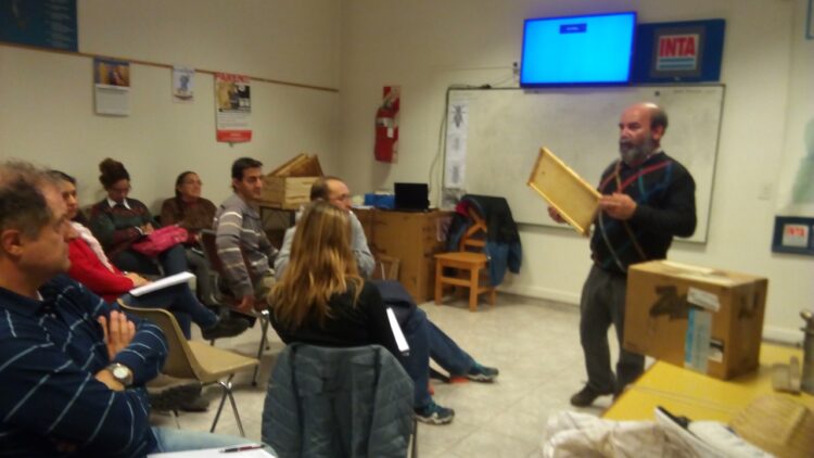 Atravesar los muros volando con las abejas: Internos del Penal 5 de Cipolletti aprenden sobre apicultura y hasta ganan concursos de miel