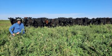 ¿Tus vacas se alimentan a pasto? Ahora vas a poder certificarlas