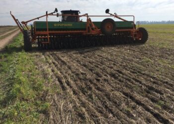 Sembrá tranquilo: El trigo argentino ya tiene un derecho de exportación efectivo superior al 20%