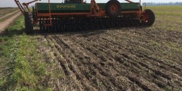 Sembrá tranquilo: El trigo argentino ya tiene un derecho de exportación efectivo superior al 20%