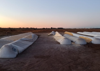 La soja argentina sigue muy “pesada” y no puede aprovechar los saltos de precios generados por el “mercado climático” estadounidense