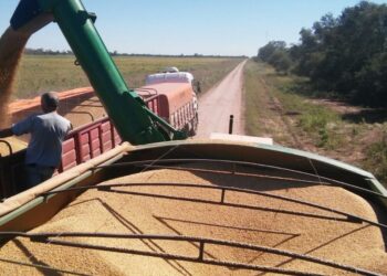 Yuyo Bendito: Gracias al complejo sojero Argentina logró el mayor nivel de exportaciones desde el año 2013