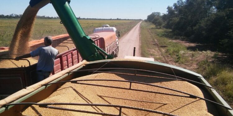 Yuyo Bendito: Gracias al complejo sojero Argentina logró el mayor nivel de exportaciones desde el año 2013