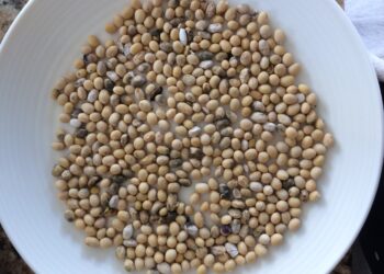 La “retención cambiaria” ya se encuentra en el 42%: ¿A cuánto cotizaría la soja si no existiese?