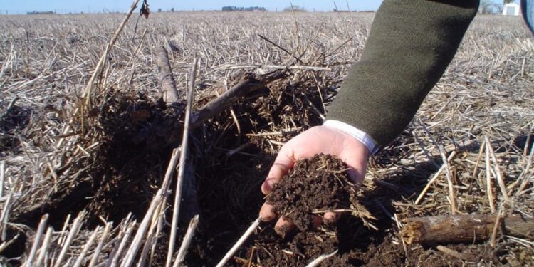 ¿Por qué se festeja hoy el Día Nacional de la Conservación del Suelo?