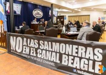 Argentina insólita: Tierra del Fuego prohibió por ley la única actividad productiva viable en la provincia