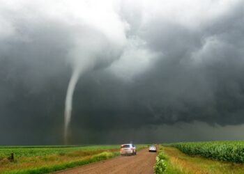 Revancha: Volvió la demanda al mercado de soja ante la evidencia de factores climáticos alcistas en Norteamérica