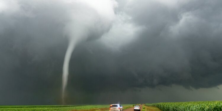 Revancha: Volvió la demanda al mercado de soja ante la evidencia de factores climáticos alcistas en Norteamérica