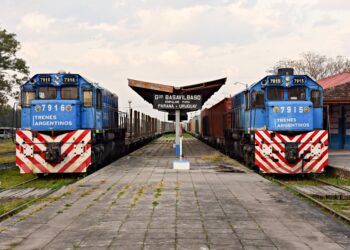 Sigue creciendo la carga transportada por los trenes estatales pero con una participación decreciente de los productos agrícolas