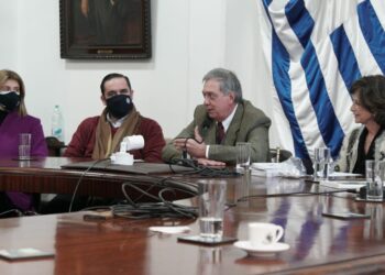 Estado Presente: Uruguay ofrece 10 u$s/ha a los productores que acepten participar de una iniciativa orientada a mejorar la oferta de seguros agrícolas