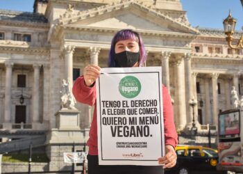 Diputada de La Cámpora promueve un proyecto para garantizar la oferta de un menú vegano en todas las dependencias del Estado