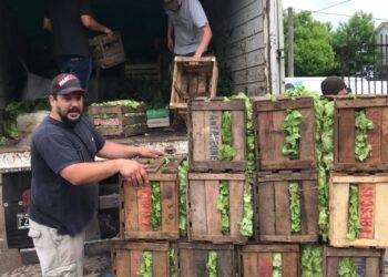 La comida no se tira: El INTA se unió al Banco de Alimentos de Balcarce para rescatar los descartes de la producción frutihortícola