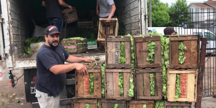 La comida no se tira: El INTA se unió al Banco de Alimentos de Balcarce para rescatar los descartes de la producción frutihortícola