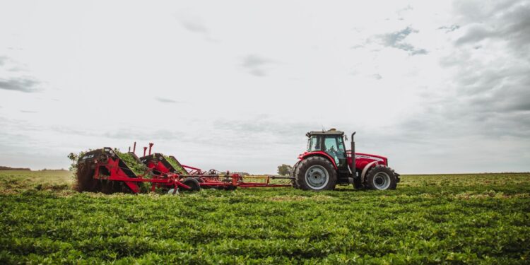 Una industria cordobesa sale a tentar a los productores para que incorporen el maní a su rotación de cultivos bajo siembra directa