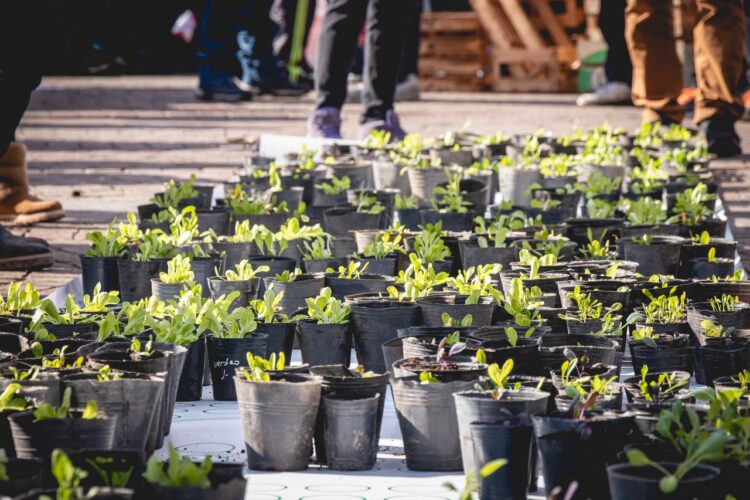 Marcharon al Obelisco para exigir el acceso a tierras fiscales ociosas con el propósito de crear “10.000 huertas”