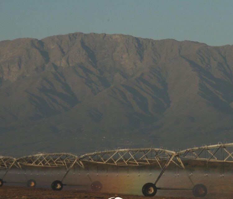 Dos hermanos montaron en plena pandemia una empresa de energías limpias y ya están instalando un parque solar para regar 30 hectáreas en Villa Dolores